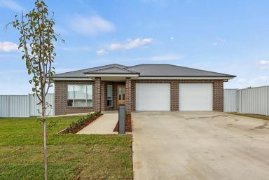 House For Sale - NSW - Temora - 2666 - BRAND NEW - PREMIUM LOCATION  (Image 2)