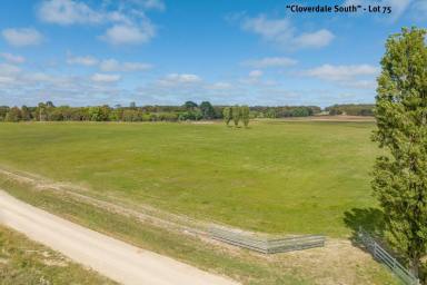 Farmlet For Sale - NSW - Taralga - 2580 - A Country Escape with Endless Potential  (Image 2)