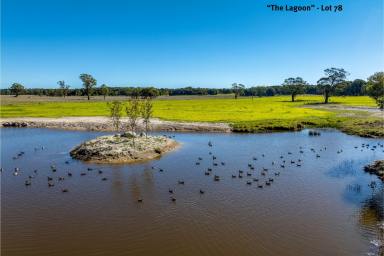 Farmlet For Sale - NSW - Taralga - 2580 - A Country Escape with Endless Potential  (Image 2)