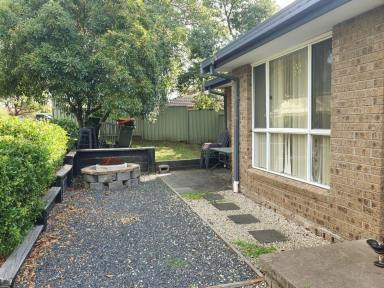 House For Sale - NSW - Muswellbrook - 2333 - THE PERFECT BALANCE OF POSITION, SIZE AND POTENTIAL IN THIS THREE (3X) BEDROOM NORTH MUSWELLBROOK  (Image 2)