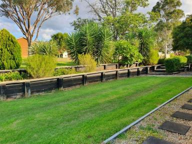 House For Sale - NSW - Muswellbrook - 2333 - THE PERFECT BALANCE OF POSITION, SIZE AND POTENTIAL IN THIS THREE (3X) BEDROOM NORTH MUSWELLBROOK  (Image 2)