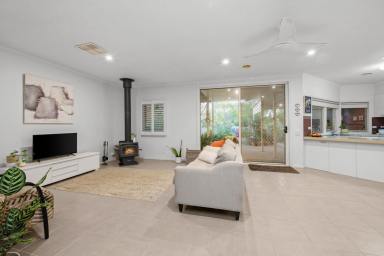 House For Sale - VIC - Strathdale - 3550 - A Hidden Gem on Over 1,000m² in Prestigious Strathdale  (Image 2)