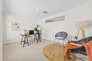 House For Sale - WA - Southern River - 6110 - Stylish, Spacious & Superbly Located — The Ultimate Family Home  (Image 2)