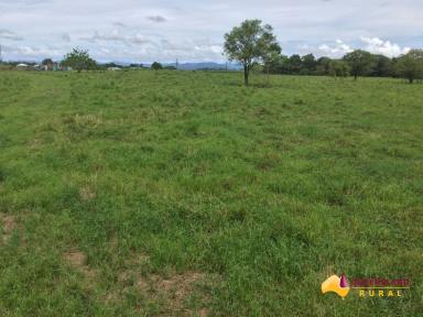 Other (Rural) For Sale - QLD - South Innisfail - 4860 - Coastal Lifestyle Acreage  (Image 2)