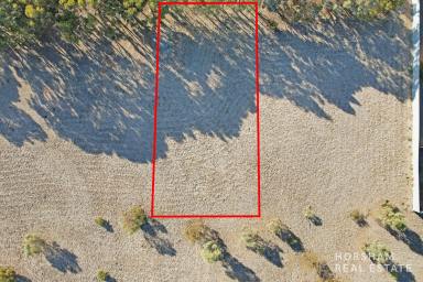 Residential Block For Sale - VIC - Murtoa - 3390 - Great Opportunity to Build your Dream Home!  (Image 2)