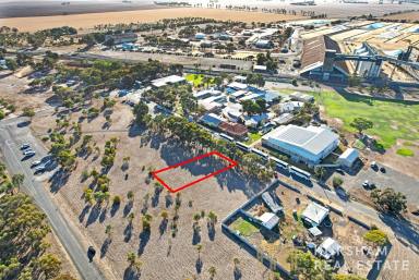 Residential Block For Sale - VIC - Murtoa - 3390 - Great Opportunity to Build your Dream Home!  (Image 2)