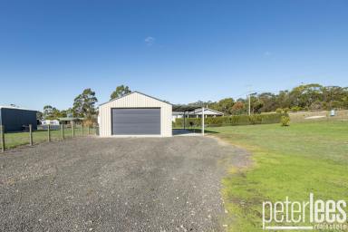 House For Sale - TAS - Swansea - 7190 - Coastal Charm Meets Endless Potential in Swansea  (Image 2)