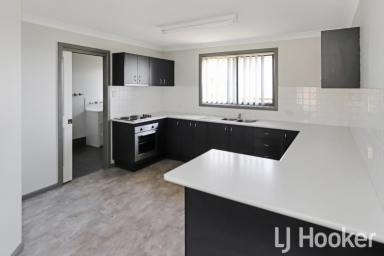 House For Lease - NSW - Inverell - 2360 - Immaculate Home - Lake Inverell Area  (Image 2)