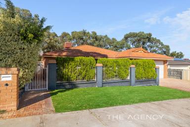 House For Sale - WA - Madeley - 6065 - Spacious Family Living in Prime Location -  Your family will love it!  (Image 2)