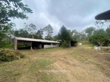Other (Rural) For Sale - QLD - Silver Valley - 4872 - Hidden treasures awaits....  (Image 2)