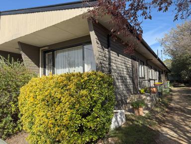 Unit For Lease - NSW - Cooma - 2630 - 1/21 Baron Street, Cooma  (Image 2)