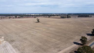 Livestock Auction - VIC - Numurkah - 3636 - Parklea  (Image 2)