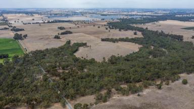 Livestock Auction - VIC - Numurkah - 3636 - Parklea  (Image 2)