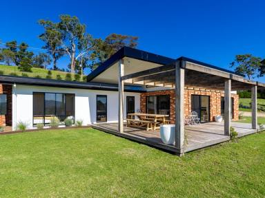 Acreage/Semi-rural For Sale - NSW - Bega - 2550 - BEAUTIFUL HOME, STUNNING VIEWS  (Image 2)