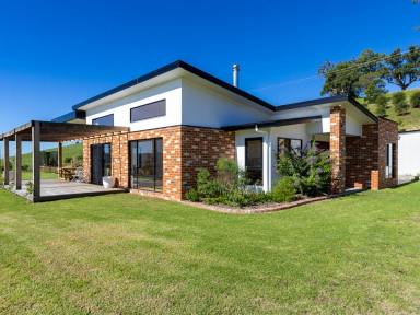 Acreage/Semi-rural For Sale - NSW - Bega - 2550 - BEAUTIFUL HOME, STUNNING VIEWS  (Image 2)