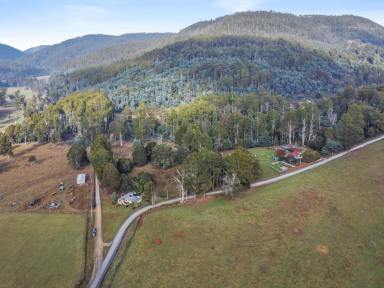 House For Sale - TAS - Liena - 7304 - Country Living  (Image 2)