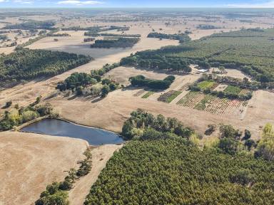Mixed Farming For Sale - VIC - Nareen - 3315 - Established flower farm with multiple income streams  (Image 2)