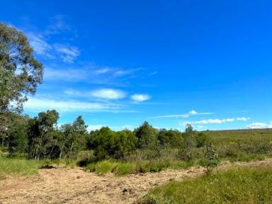 Residential Block For Sale - QLD - South Kolan - 4670 - 8.55ha LIFESTYLE ACERAGE WITH WATER SECURITY  (Image 2)