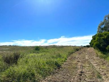 Residential Block For Sale - QLD - South Kolan - 4670 - 8.55ha LIFESTYLE ACERAGE WITH WATER SECURITY  (Image 2)