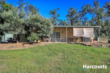 House For Sale - QLD - North Isis - 4660 - COUNTRY LIVING CLOSE TO TOWN!  (Image 2)