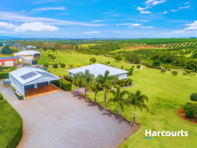 Lifestyle For Sale - QLD - North Isis - 4660 - EXECUTIVE ACREAGE LIVING  (Image 2)