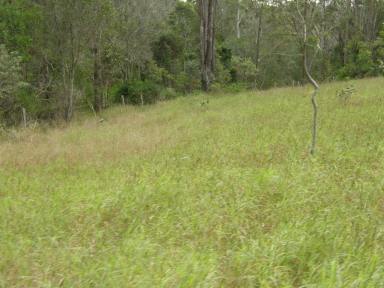 Residential Block For Sale - QLD - Manumbar - 4601 - HEADING BUSH  (Image 2)