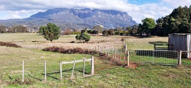 Acreage/Semi-rural For Sale - TAS - Sheffield - 7306 - So Much Opportunity  (Image 2)