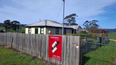 Acreage/Semi-rural For Sale - TAS - Sheffield - 7306 - So Much Opportunity  (Image 2)