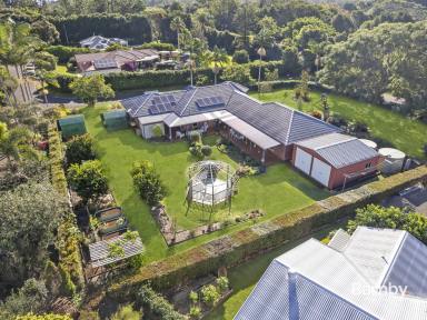 House For Sale - QLD - Mapleton - 4560 - LUXURY HINTERLAND LIVING WITH TRANQUIL SPACE  (Image 2)