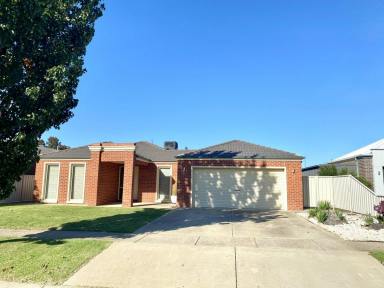 House For Lease - NSW - Moama - 2731 - Stylish 3-Bedroom Brick Veneer Home in a Quiet Neighbourhood  (Image 2)
