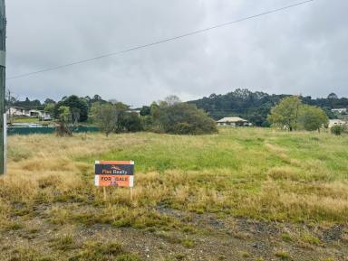 Residential Block For Sale - TAS - Zeehan - 7469 - Prime land opportunity  (Image 2)