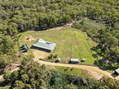 House Sold - VIC - Clifton Creek - 3875 - 100 ACRES PLUS VIEWS YOU ONLY DREAM OF!  (Image 2)