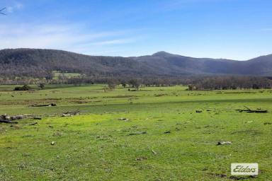 Mixed Farming For Sale - VIC - Raglan - 3373 - Lifestyle Acreage & Mixed Farming in Picturesque Valley - 131 Acres  (Image 2)