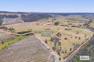 Mixed Farming For Sale - VIC - Raglan - 3373 - Lifestyle Acreage & Mixed Farming in Picturesque Valley - 131 Acres  (Image 2)