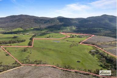 Mixed Farming For Sale - VIC - Raglan - 3373 - Lifestyle Acreage & Mixed Farming in Picturesque Valley - 131 Acres  (Image 2)