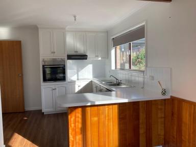 House For Lease - TAS - Prospect Vale - 7250 - Light and bright home!  (Image 2)