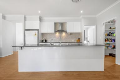 House For Sale - QLD - Dayboro - 4521 - Family-Sized Comfort with Shed, Solar & Sweeping Mountain Views!  (Image 2)