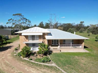 House For Sale - NSW - Moree - 2400 - HUGE FAMILY HOME- AFFORDABLE ACREAGE  (Image 2)