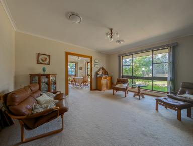 House For Sale - VIC - Quambatook - 3540 - Masterful home on a very large allotment  (Image 2)
