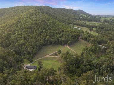 Lifestyle For Sale - NSW - Mount View - 2325 - Mount View Homestead  (Image 2)