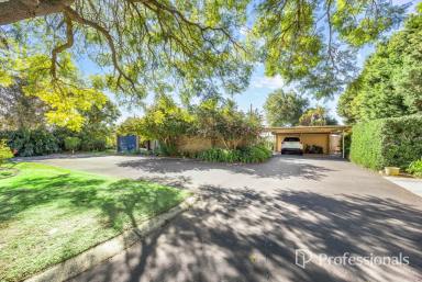 Mixed Farming For Sale - WA - Burekup - 6227 - Country Lifestyle in A Peaceful, Picturesque Location on 8.90 Hectares!  (Image 2)