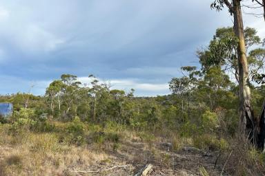 Residential Block For Sale - TAS - Murdunna - 7178 - Elevated Coastal Bush Allotment in Tranquil Murdunna  (Image 2)