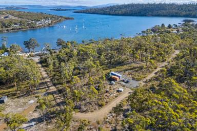 Residential Block For Sale - TAS - Murdunna - 7178 - Elevated Coastal Bush Allotment in Tranquil Murdunna  (Image 2)