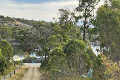 Residential Block For Sale - TAS - Murdunna - 7178 - Elevated Coastal Bush Allotment in Tranquil Murdunna  (Image 2)