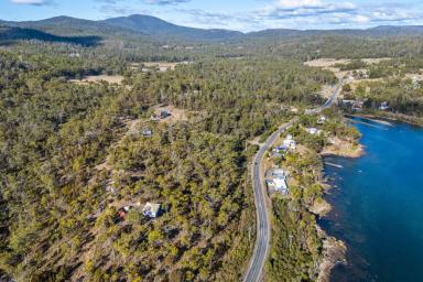 Residential Block For Sale - TAS - Murdunna - 7178 - Elevated Coastal Bush Allotment in Tranquil Murdunna  (Image 2)