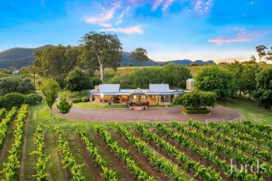 Lifestyle Sold - NSW - Pokolbin - 2320 - DRESS CIRCLE HOMESTEAD IN HUNTER VALLEY WINE COUNTRY  (Image 2)