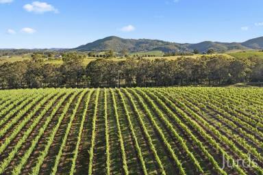 Lifestyle For Sale - NSW - Pokolbin - 2320 - DRESS CIRCLE HOMESTEAD IN HUNTER VALLEY WINE COUNTRY  (Image 2)