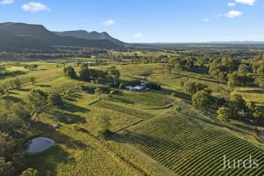 Lifestyle For Sale - NSW - Pokolbin - 2320 - DRESS CIRCLE HOMESTEAD IN HUNTER VALLEY WINE COUNTRY  (Image 2)