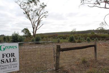 Mixed Farming For Sale - VIC - Digby - 3309 - Land Investment Opportunity  (Image 2)