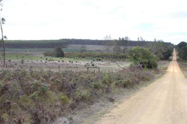 Mixed Farming For Sale - VIC - Digby - 3309 - Land Investment Opportunity  (Image 2)